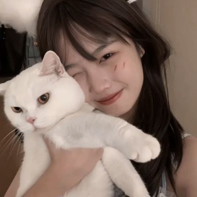韩服天堂2m12版下载